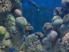 -福州罗源湾海洋世界旅游区