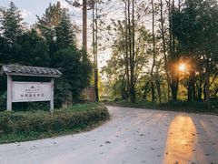 -和顺柏联温泉