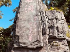 -东莞市大岭山森林公园