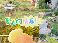 -无锡动物园·太湖欢乐园