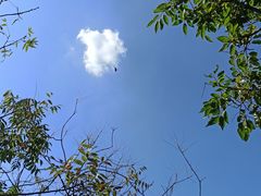 -老山国家森林公园