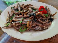 -竹庄餐馆·26年店(南昆山景区店)