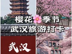 -蛙老爹·蜀香美蛙鱼头(王家湾店)