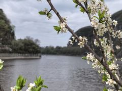 -秦岭终南山世界地质公园翠华山景区
