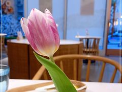 -WOKKA by艮上(中海环宇荟店)
