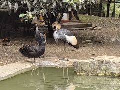 -黔灵山公园