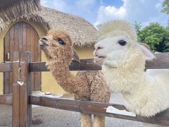 -珠海海泉湾神秘岛亲子乐园