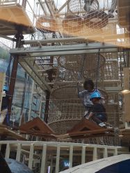 -PIPIKINGDOM皮皮王国欢乐号(欢乐海岸购物中心店)