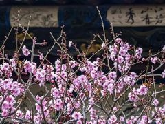 -北京明城墙遗址公园