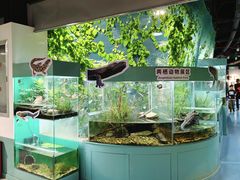 -上海大自然野生昆虫馆(东方明珠·爬宠昆虫探索中心)