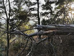 -敬亭山风景名胜区