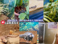 -上海大自然野生昆虫馆