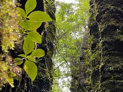 -梭布垭石林景区