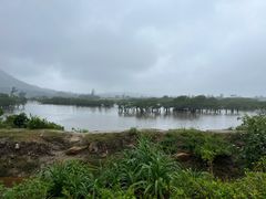 -海南铜鼓岭景区