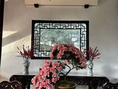 -上海醉白池公园