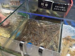 -加餐海鲜自助(宝龙一城店)