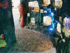 -上海大自然野生昆虫馆(东方明珠·爬宠昆虫探索中心)