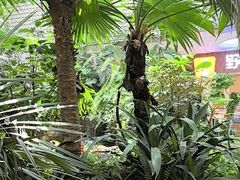 -吕氏疙瘩汤·新派鲁菜(济南万象城店)