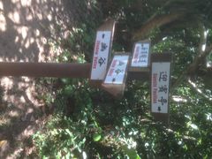 鹅銮鼻公园-鹅銮鼻公园
