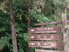 -阳台山自然风景区