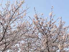 -龙美术馆(西岸馆)