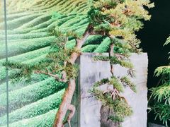 -湘邻呷铺·田园家宴(汉基广场店)