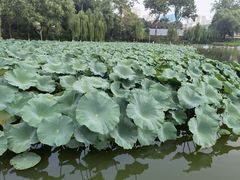 -中国农业博物馆