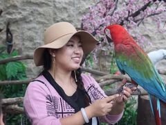 -白鹿原影视城