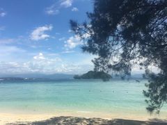 景点-东姑阿都拉曼海洋公园