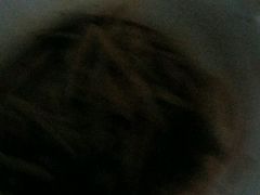 -紫燕百味鸡(明湖店)