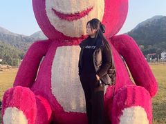 -长沙黑麋峰国家森林公园