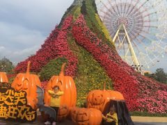 -七彩云南欢乐世界