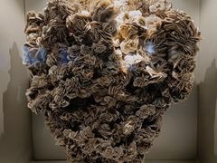 -甘肃地质博物馆