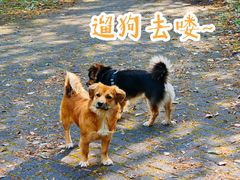 -上海海湾国家森林公园