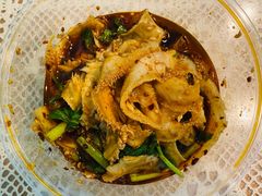 肺片-马记清真肺片(玉林中横巷)