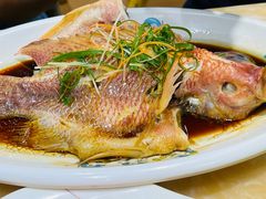 -小海豚•老字号海鲜餐厅(天涯店)