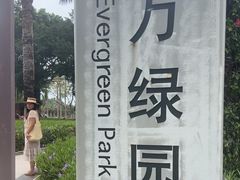 -万绿园