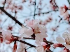 -滨河世纪广场公园