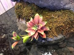 -俏江南天津时尚曲艺主题餐厅(马场道店)