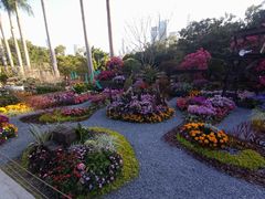 -荔枝公园-小平画像广场