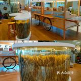 深圳首家国潮米屋，有趣！