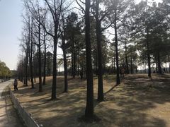 -美兰湖景区