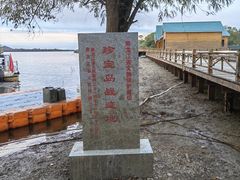-珍宝岛
