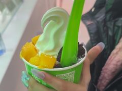 -Salud撒露欧洲冻酸奶(五道口购物中心店)