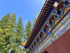 -冶父山国家森林公园