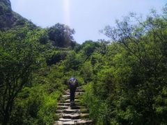 -阳台山自然风景区