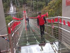 -九龙江国家森林公园