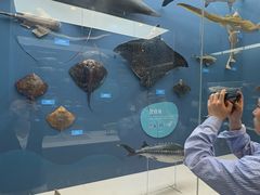 -国家自然博物馆