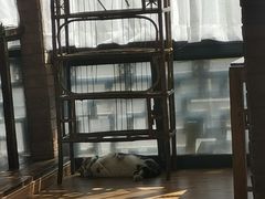 -月迷津渡(吾悦国际店)