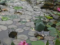 -四海公园(南山区)